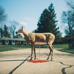 Graham, Wayne "Bastion"