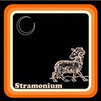 Stramonium "Elder Moon"
