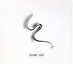 Lunatic Soul "II"