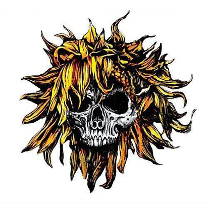 Sunflower Dead "Coma"