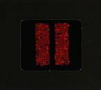 A World Of Silence "Still"