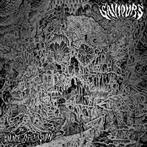 Saviours "Palace Of Vision"