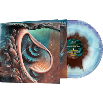 Various Artists "Meddle Reimagined - A Tribute To Pink Floyd "