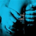 Riis, Bjorn "A Storm Is Coming"