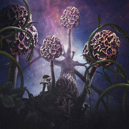 Blut Aus Nord "Hallucinogen"