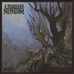 A Thousand Sufferings "Stilte"