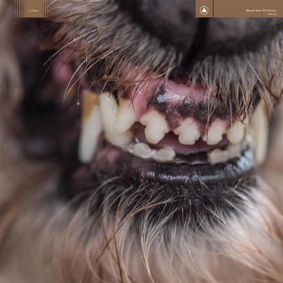 Blanck Mass "World Eater LP SPLATTER"