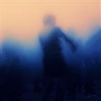 Avery, Daniel "Love + Light LP"