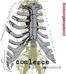 Coalesce "Functioning on Impatience"