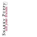 Snarky Puppy "Tell Your Friends"