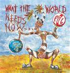 Public Image Limited "What The World Needs Now LP"