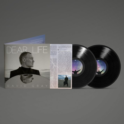 Gray, David "Dear Life LP BLACK"