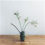 Blurr Thrower - Les Voutes