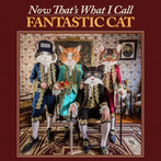 Fantastic Cat "Now That's What I Call Fantastic Cat"
