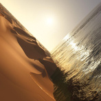 Mark Pritchard "Under The Sun LP"