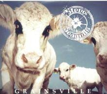 Steve N Seagulls "Grainsville"