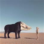 Man Man "Dream Hunting In The Valley Of The In-Between LP"