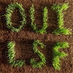 Les Savy Fav "OUI, LSF"