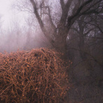 Devil's Trade, The "Nincs Szennyezetlen Szep"