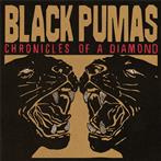 Black Pumas "Chronicles Of A Diamond"