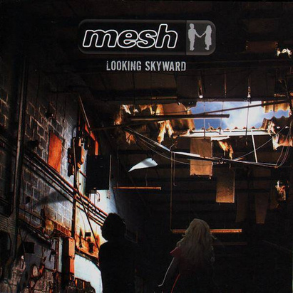 Mesh "Looking Skyward"