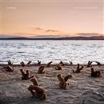 Airbag "A Day At The Beach Limited Edition"