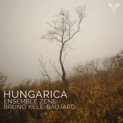 Ensemble Zene Kele-Baujard "Hungarica Kodaly Bartok Ligeti"