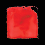 salvia palth "last chance to see"