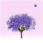 Eels "Tomorrow Morning LP"