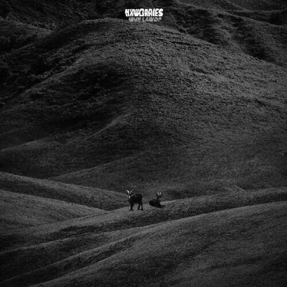 NxWorries & Knxwledge & Anderson Paak "Why Lawd LP SPLATTER INDIE"