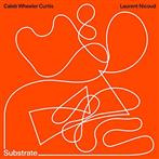 Caleb Wheeler Curtis & Laurent Nicoud "Substrate"