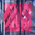 A Place To Bury Strangers "Transfixiation Lp"