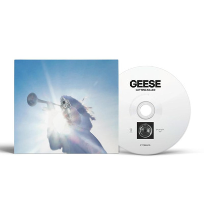 Geese "Getting Killed"