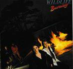Wildlife "Burning"