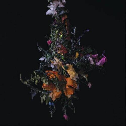 Big Brave "Nature Morte"