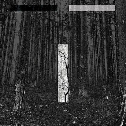 Liebing, Chris "Another Day"
