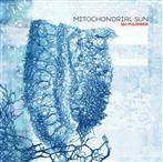 Mitochondrial Sun "Sju Pulsarer"