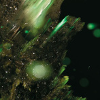 Abraham "Idsungwussa"