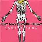 Tiny Masters Of Today "Skeletons"