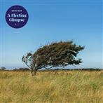 Riis, Bjorn "A Fleeting Glimpse LP BLUE"