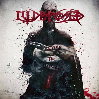 Illdisposed "Sense The Darkness"