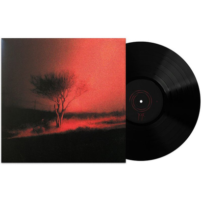 Joji "Piss In The Wind LP"