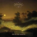 Netherbird "Into The Vast Uncharted"