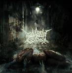 Bradi Cerebri Ectomia "Mangled Perception"