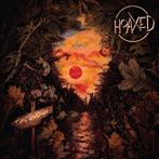 Hoaxed "Two Shadows"