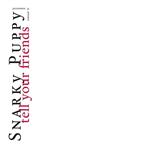 Snarky Puppy "Tell Your Friends - 10 Year Anniversary LP WHITE"