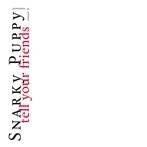 Snarky Puppy "Tell Your Friends"