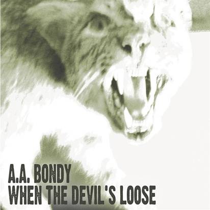 A.A. Bondy "When The Devil's Loose LP"