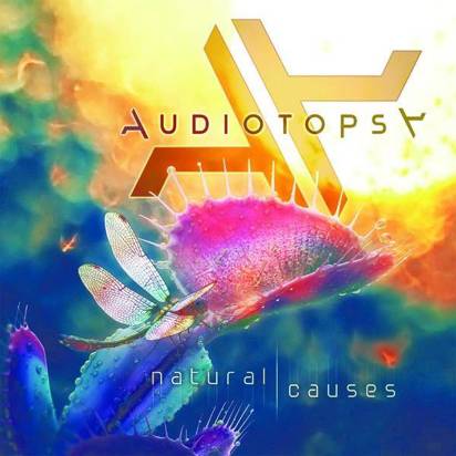 Audiotopsy "Natural Causes"