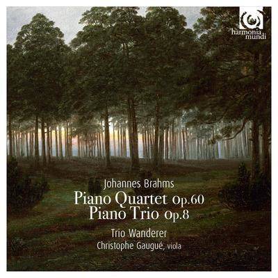 Brahms "Piano Trio op 8"